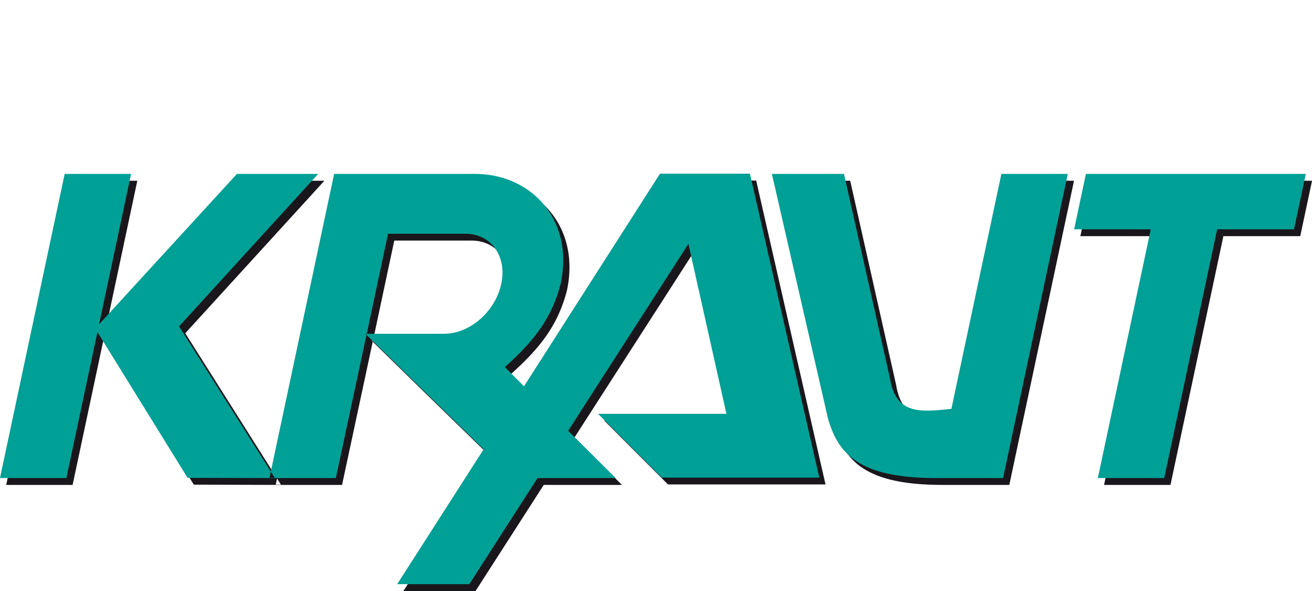 Logo Holger Kraut